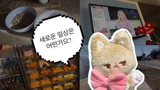 Vlog 캐나다 브이로그 EP. 03  New house 전격공개 여유로운 미드 일상인 척