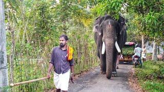 പാമ്പാടി രാജൻ ആശാനേ വണ്ടി എവിടെ പാമ്പാടി രാജൻ വയലാറിലേക്ക് Pampadi Rajan️@Vayalar