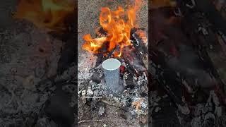 Can You Boil Water in a Paper Cup? #shorts Survival & Bushcraft