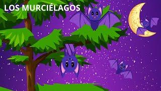 LOS MURCIÉLAGOS PARA NIÑOS TODO SOBRE LOS MURCIELAGOS EL MURCIÉLAGO EN ESPAÑOL