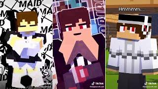 Bagas Craft TikTok Clips compilations p.11 #tiktok #minecraft