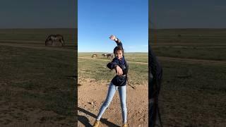 Баргутка Алан зажигает на фоне коров в Хулун-Буире. Лучший танец в истории человечества