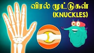 Knuckles-களில் இருந்து  எதனால் சத்தம் வருகிறது?  Why Do Knuckles Pop?  Dr.Binocs Tamil