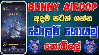 Bunny mining Sinhala  bunny telegram tap mining  bunny app telegram mining bot  bunny airdrop