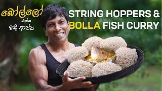 String Hoppers With Bolla Fish Recipe  Idiyappam with Traditional Village Coconut milk Fish Curry