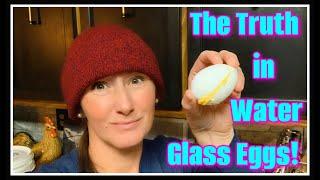  Water Glass Eggs & The Truth About Them 