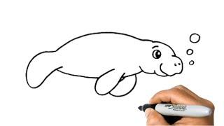 How to Draw a MANATEE Easy Step by Step Animal Drawing