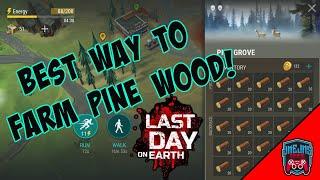 How to Farm Pine Wood easily in LDOE  Last Day on Earth  Nov 2023