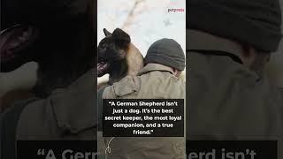 Top 5 Heartwarming German Shepherd Dog Quotes