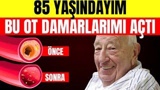  Bu kan damarlarını temizlemek için EN İYİ BİTKİ 🩸