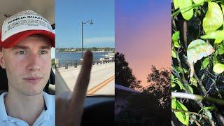 passing by Mar al lago nursery crazy storm florida chameleons  Miami vlog 10