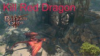 BG3 Kill the Dragon in Act 1 - Baldurs Gate 3