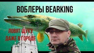 Ловля щуки и окуня на воблеры BEARKING. Медведи ловят рыбу в городе