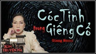 Nghe truyện ma  CÓC TINH TRONG GIẾNG CỔ  Lão người Hoa với mưu đồ đen tối  MC Trần Thy