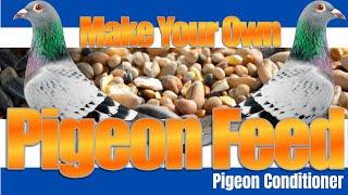 Pigeon Feed How To Make Pigeon ConditionerTreat - Racing Pigeons Tippler Pigeons & Fancy Pigeons