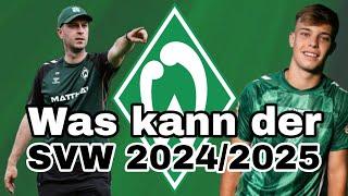 Werder Bremen Vereins Analyse Abstiegskampf oder doch International?