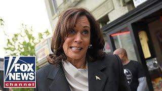 Media cannot stop fawning over Kamala Harris but new poll reveals Americans doubts