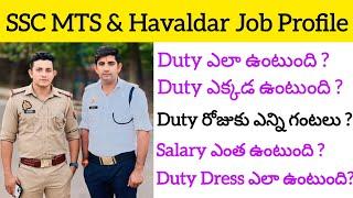 SSC MTS & Havaldar job profile in Telugu #ssc #sscmts #sschavaldar #sscgd #telugueasytech