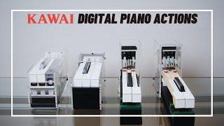 Kawai Digital Piano Action Comparison Key Touch Weighted Keys