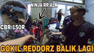 REDDORZ NINJA RR ALM DI BELI LAGI SAMA IFNU  SEMUA KAGET KEMBALINYA REDDORZ