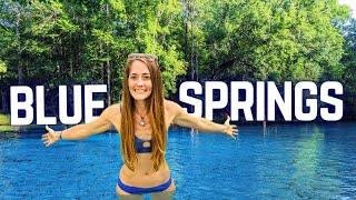 Is the NEWEST Florida State Park One of Its BEST?  Gilchrist Blue Springs