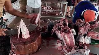 Big Tuna Fish Cutting Sri Lanka  Fish Cutting Experts