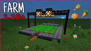 Come COSTRUIRE una FARM SEMI-AUTOMATICA di ORTAGGI TUTORIAL - MINECRAFT ITA