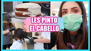 LES PINTO EL PELO AZUL Y ROSA  SALGO PARA HACER COMPRAS HACEMOS PASTEL DE ZANAHORIA CON TIKTOK 