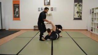 NINJUTSU-RANDORI - Shizen No Kamae natural posture - earth element