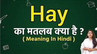 Hay meaning in hindi  Hay ka matlab kya hota hai  Word meaning