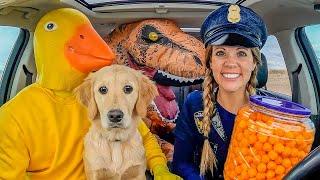 Police Steals Puppy from Rubber Ducky in Car Ride Chase