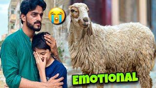 DUMBA GIFT DEKH K FAN EMOTIONAL HOGAYA  MISHKAT KHAN  BAKRA EID