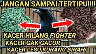 RAHASIA RAWATAN BURUNG KACER  SAYA BONGKAR CARA MEMILIH VOER YANG BENAR