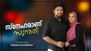 എന്നെ ഞാനാക്കിയ എന്റെ പ്രിയപ്പെട്ട ഗാനം  സ്നേഹമാണ് സുന്ദരി  SALEEM KODATHOOR  HITS OF SALEEM