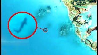 Megalodon Captured On Google Earth?  Megalodon Sighting