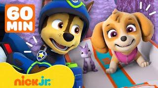 Щенячий патруль  Щенячий патруль спасает друзей  60-минутная подборка  Nick Jr. Cyrillic