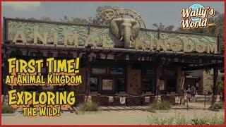 First Time at Animal Kingdom Part 1 Exploring the Wild Episode 43