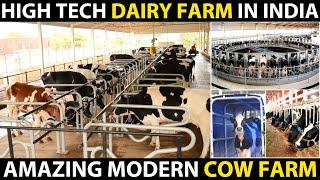 High Tech Dairy Farm in India  Fully Automated Modern Cow Farm  Amazing Cattle Farming Technology