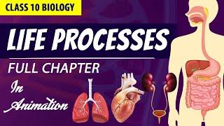 life processes class 10 science biology Animated video  10th CBSE  ncert #science  Chapter 6