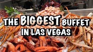 The BIGGEST BUFFET in Las Vegas  Bacchanal Buffet  Caesars Palace  January 2024