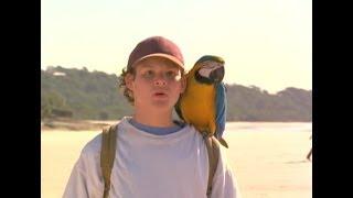 The Real Macaw 1998