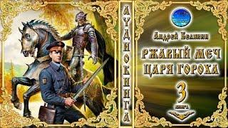 Ржавый меч царя Гороха 3 книга из цикла «Тайный сыск царя Гороха»Андрей БелянинАудиокнигафэнтези