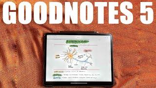 Goodnotes 5 Review Completo