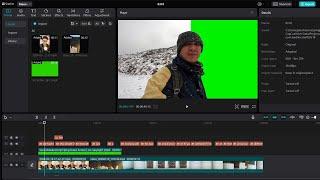 How To Remove Green Screen In Capcut Windows PC & Laptop