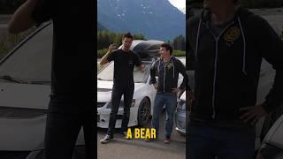 What to do when a bear attacks your car.