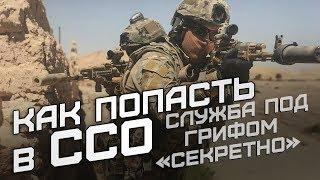 Служба под грифом «секретно» как попасть в ССО?