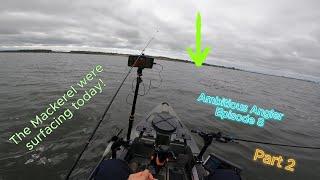 Mackerel Blitzes Ambitious Angler Ep 8 Part 2