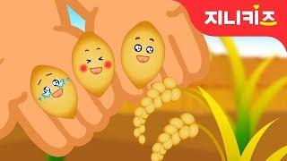 세 쌍둥이 낟알의 모험  가을동화  음식동화  창의동화지니키즈