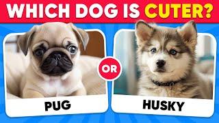 Would You Rather...? DOGS Edition  Which Dog is Cuter?  Quiz Kingdom