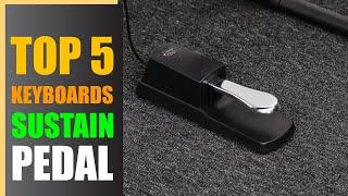 Best Sustain Pedal for Keyboards & Digital Pianos Your Complete Guide 2024